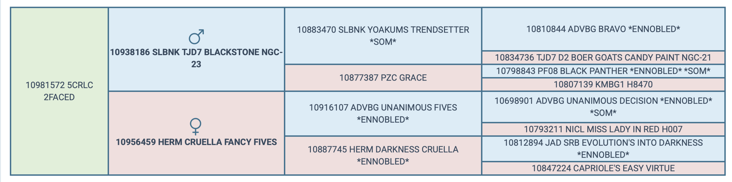 Screenshot 2025-04-19 at 10.48.54 AM